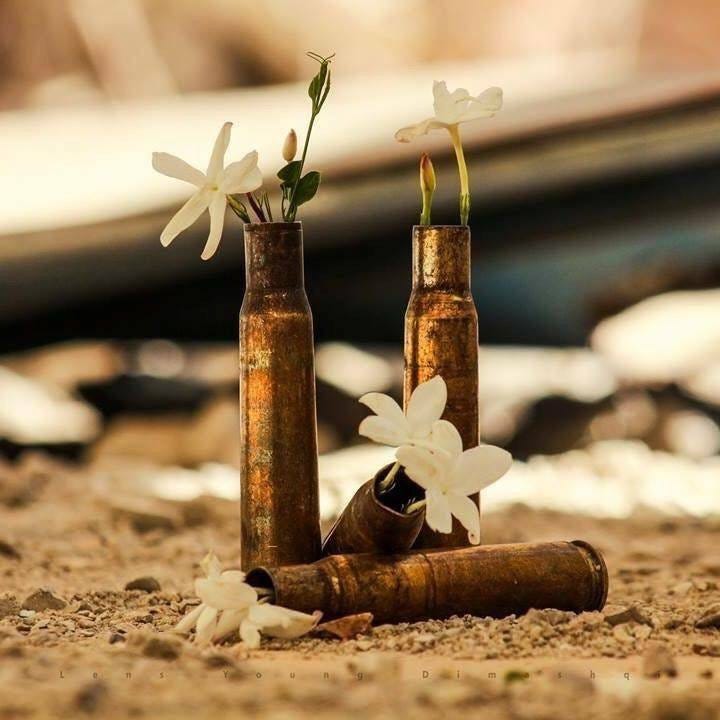 May be an image of flower