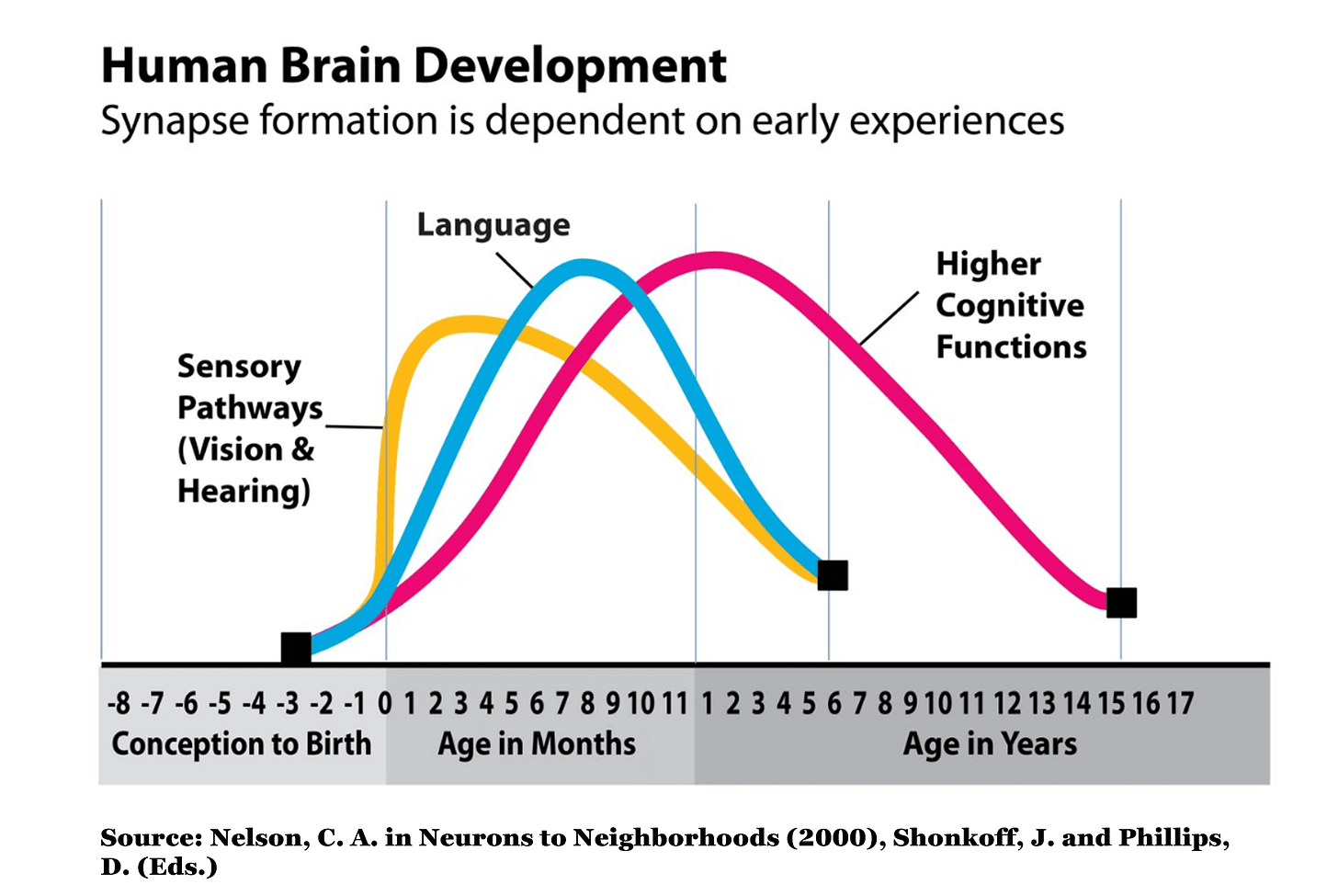 Early Brain Development : The First 3 Years : What is ...