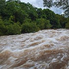 Rain and Snowmelt Prompt Water Safety Warning Across Saugeen Watershed
