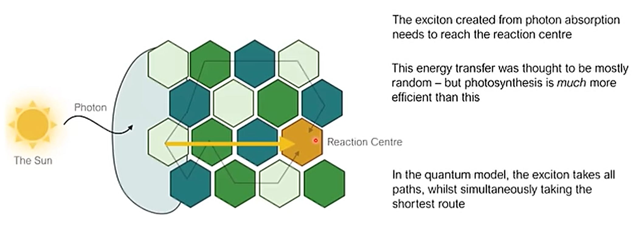 The Problem With Quantum Biology - by Cameron Borg
