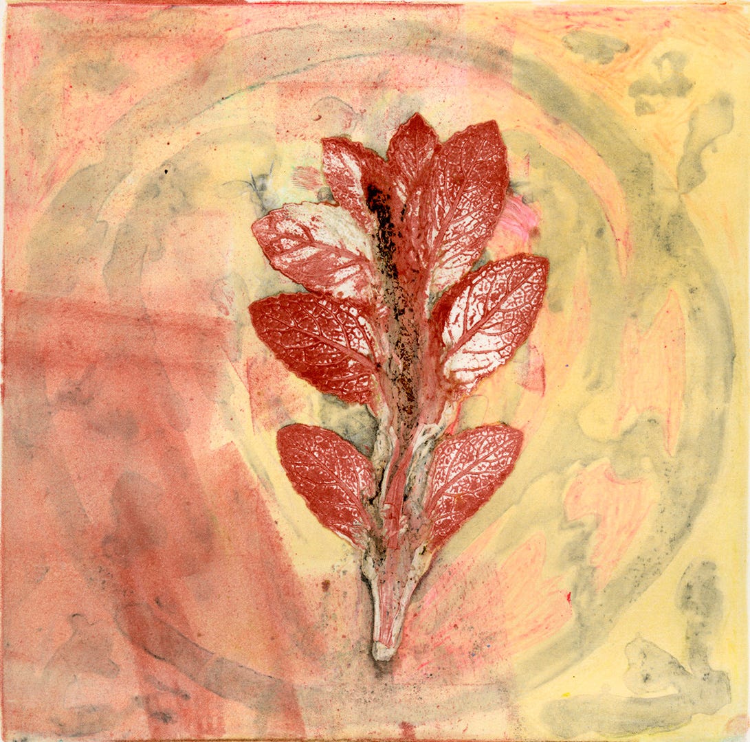 Mint leaves inked in red on a yellow and pale red background