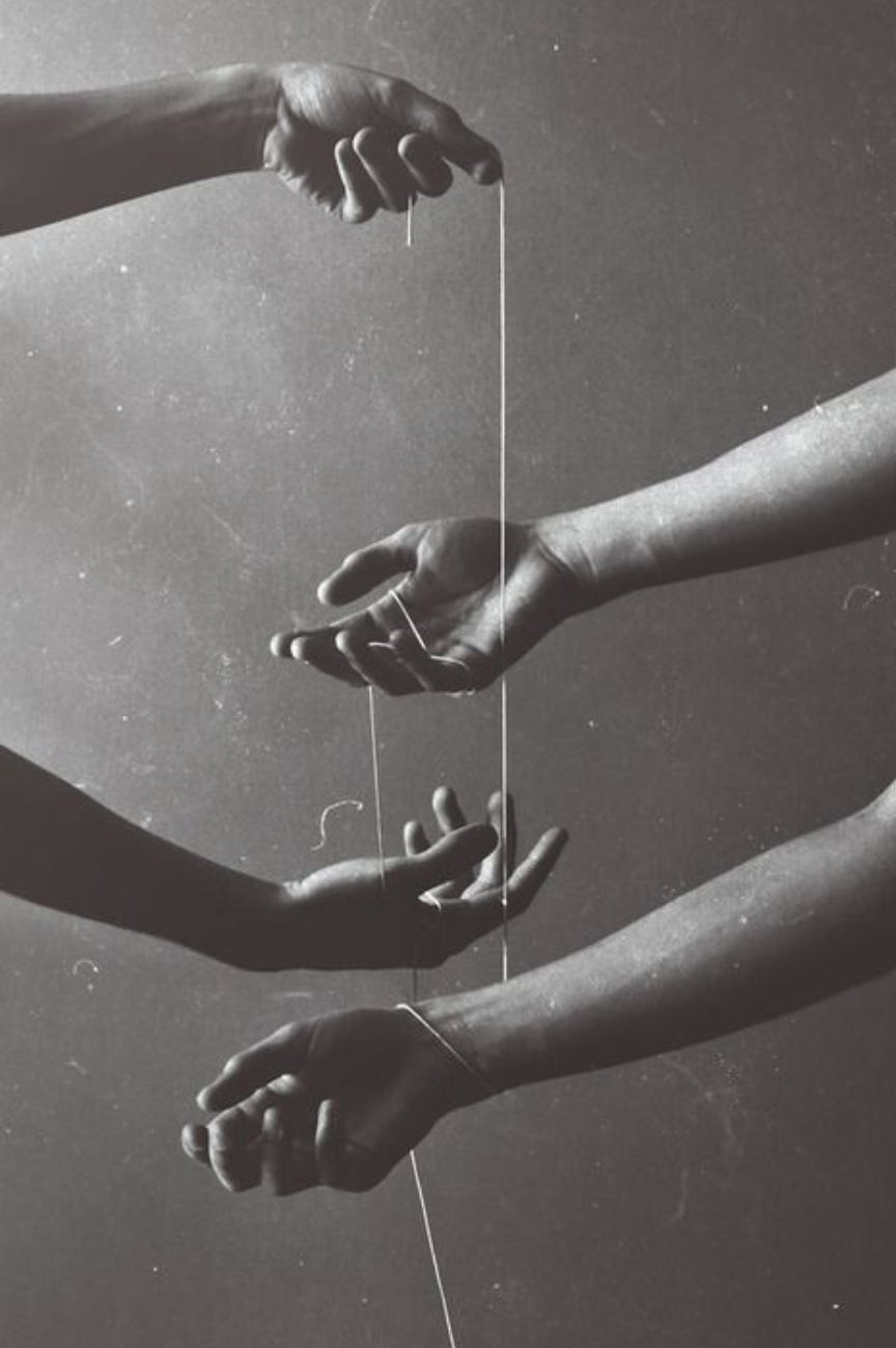 Vampiric Devotions - by zelda reed - kyote world