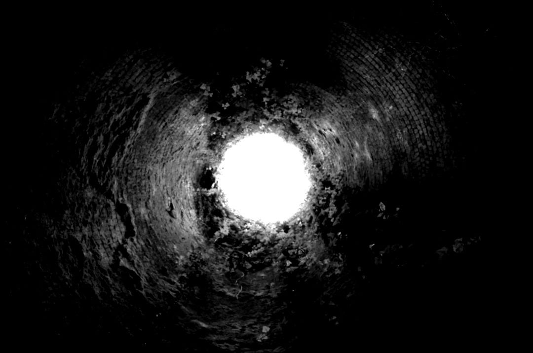 a circular hole in the ground with trees growing out of it