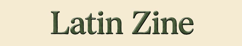 Latin Zine by Talía Cu