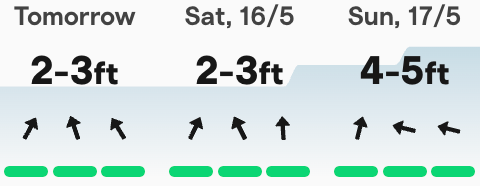 Surfline forecast