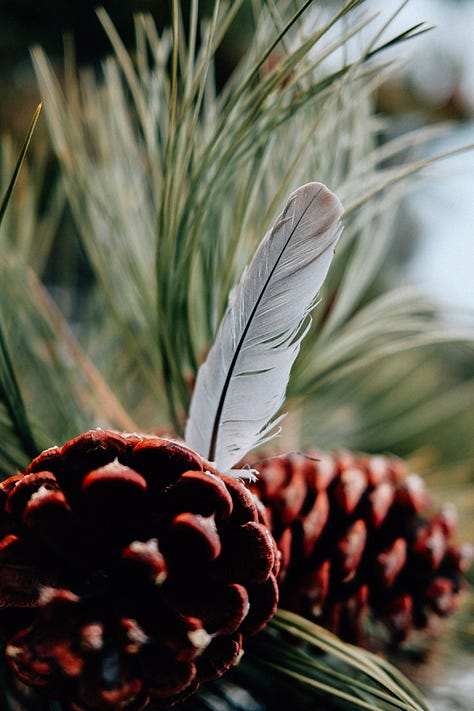 Tyler Knott Gregson Fuji photos