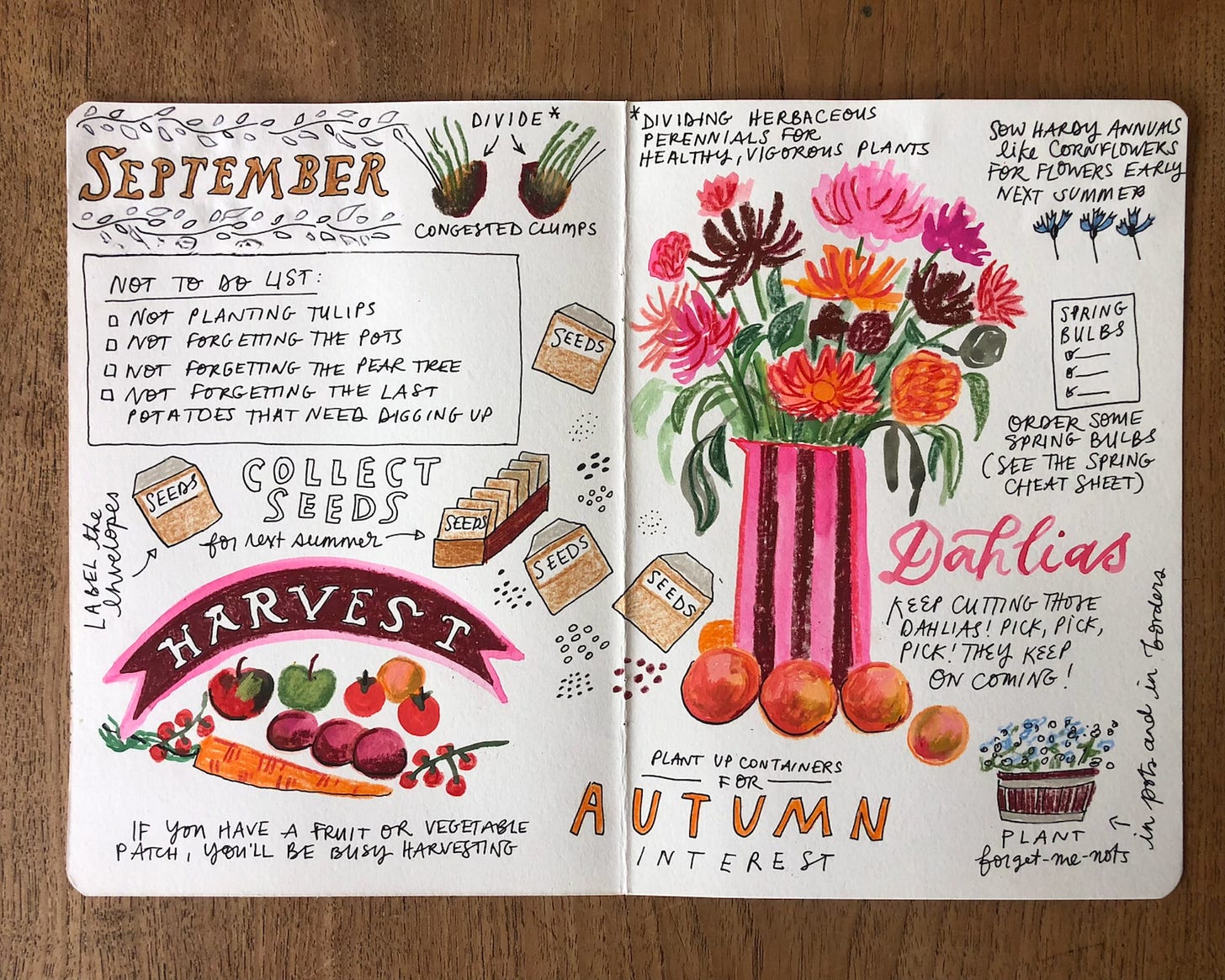 hand drawn journal entry for gardens