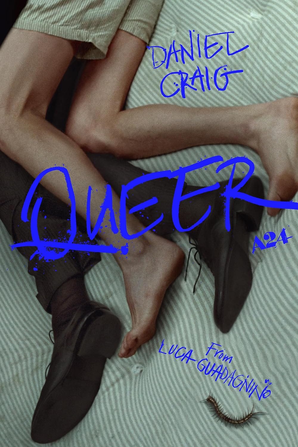 Queer (2024) - IMDb