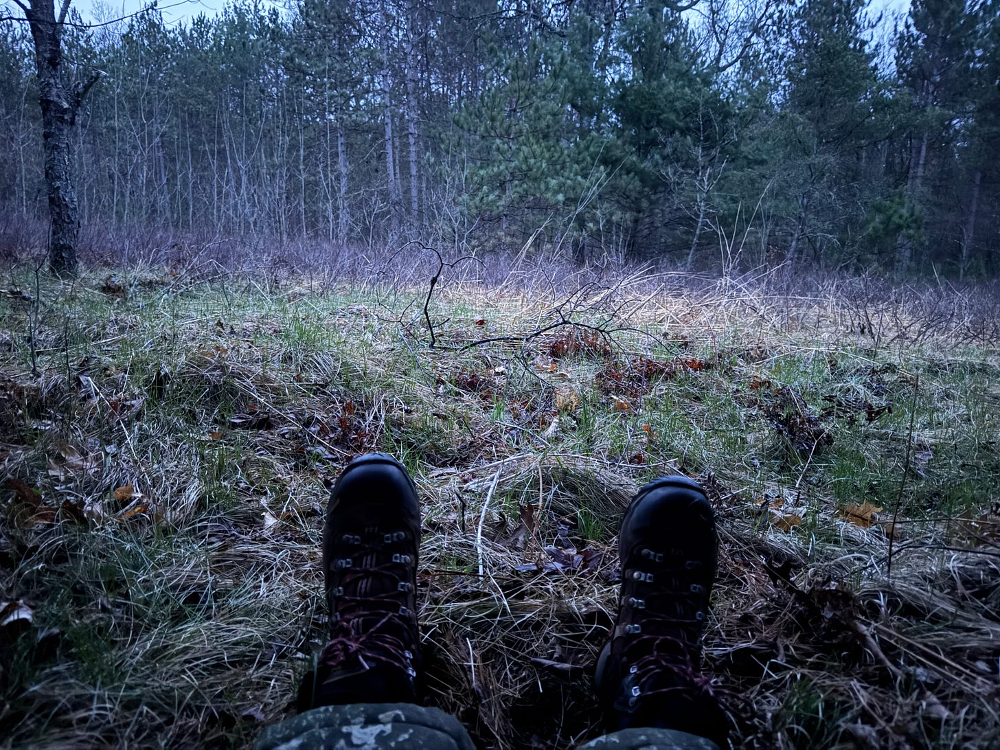 Early morning view in the woods, with only the photographer's feet in view on the ground in front of her, in red hiking boots.