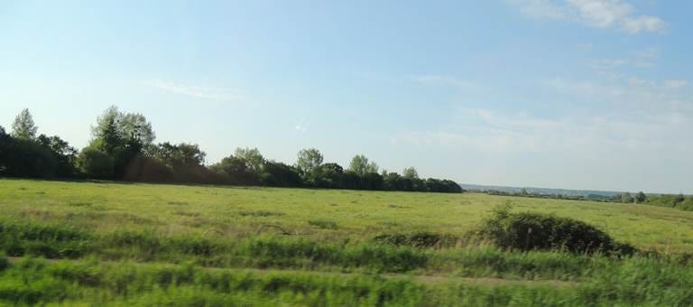 A field of grass and trees

AI-generated content may be incorrect.