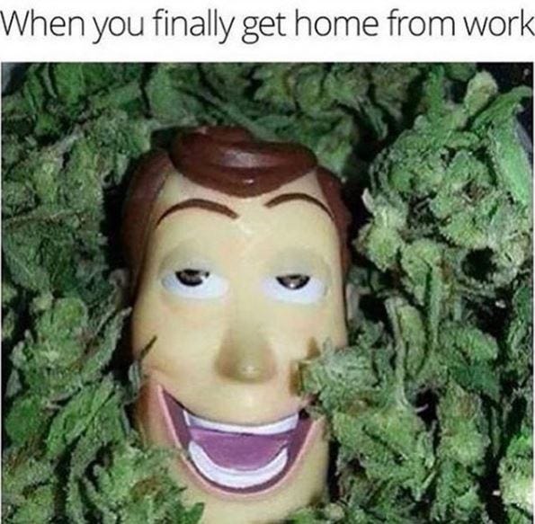 Here are the best weed meme accounts for stoners to follow in 2020