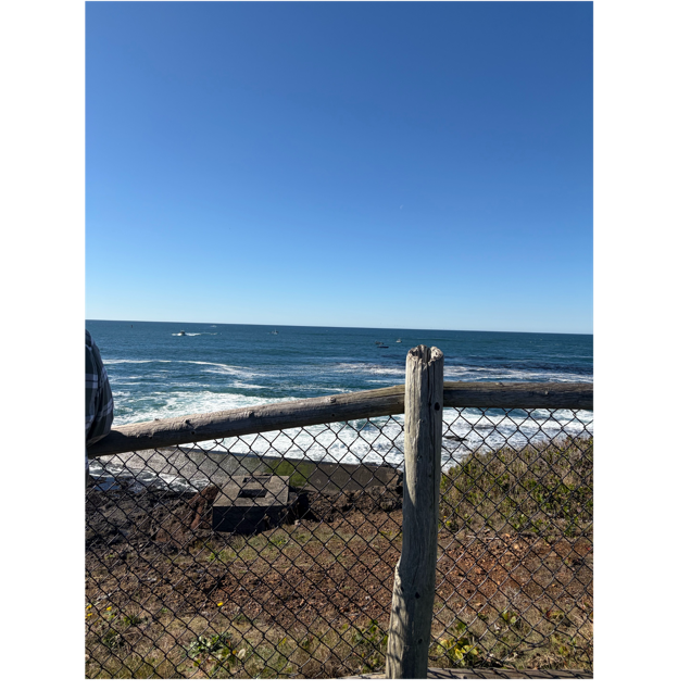 A fence with a wooden post and a body of water

AI-generated content may be incorrect.