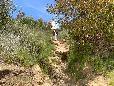 beautiful scenic photos of Griffith Park in Los Angeles, California