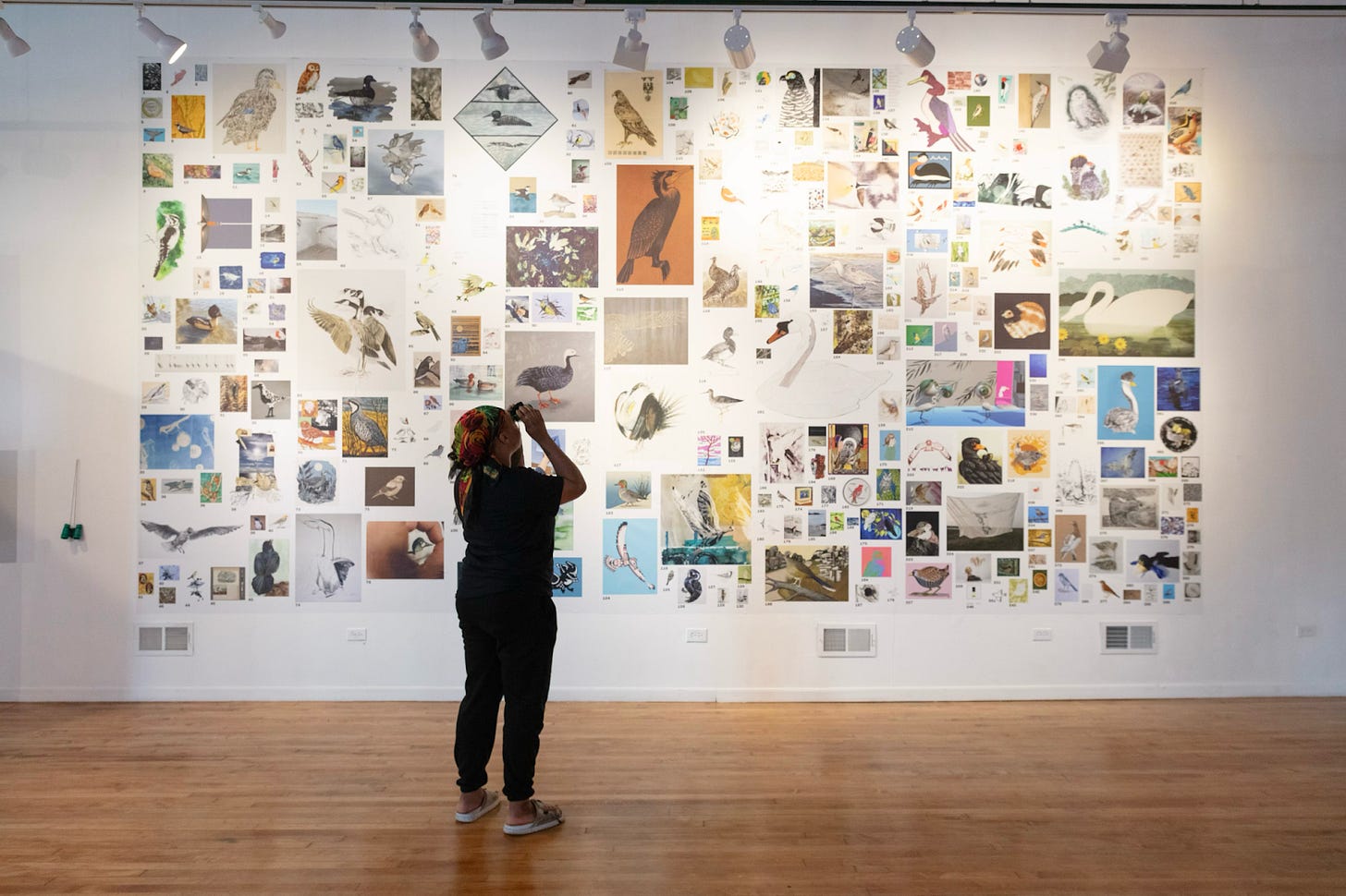 A gallery installation showing a large rectangular arrangement of bird images in different sizes mounted on a white wall. A person dressed in dark clothing stands on a wood floor in front of the installation, facing the wall of bird images.
