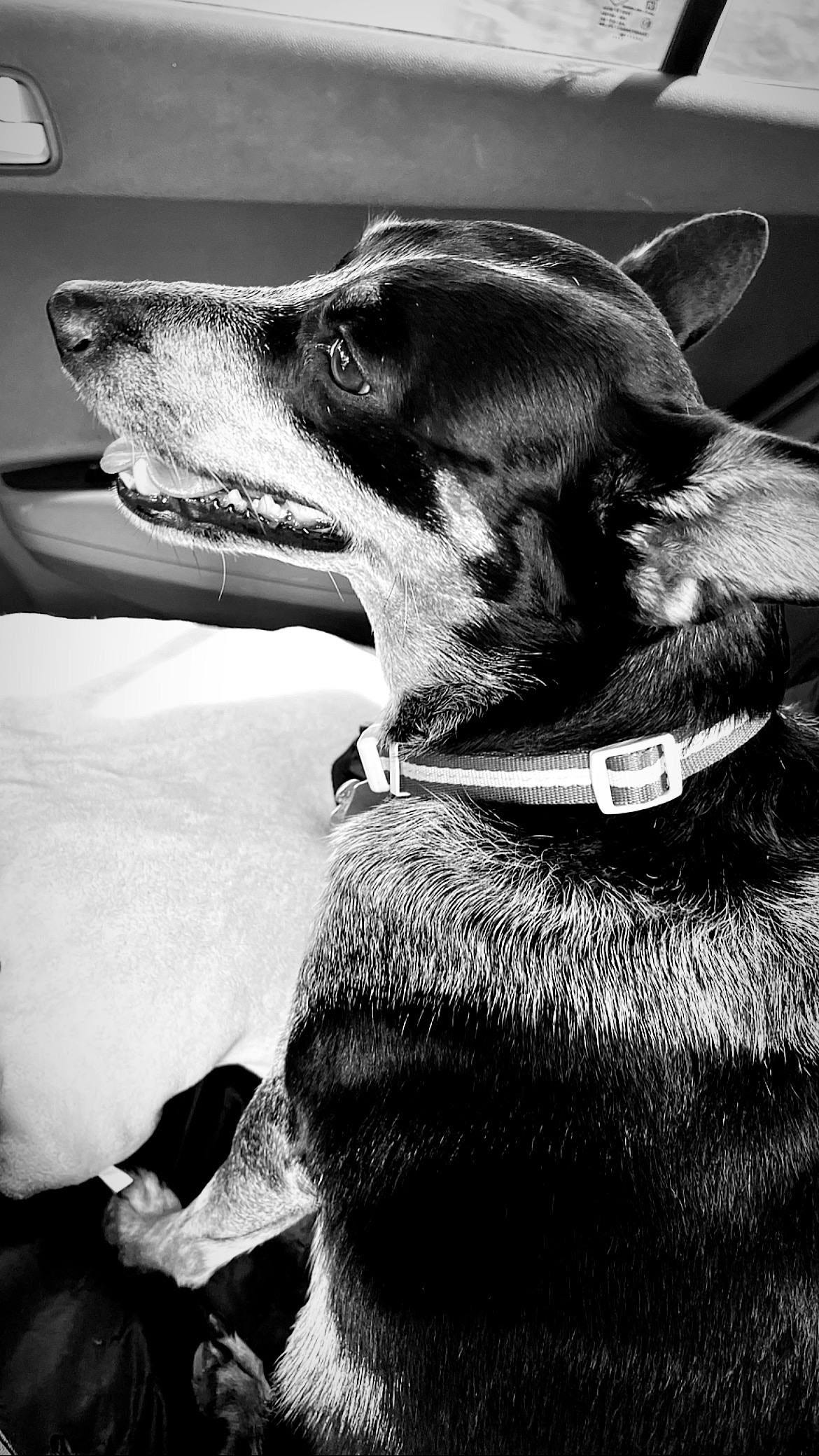 038: In Search of Freedom, or Free from Searching? 038: In Search of Freedom, or Free from Searching?