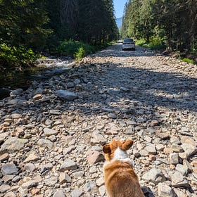 Rocky Roads
