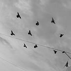 Home Base with Jeff Warren