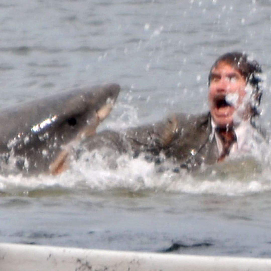 Will Ferrell Films Shark Attack Scene for Anchorman 2