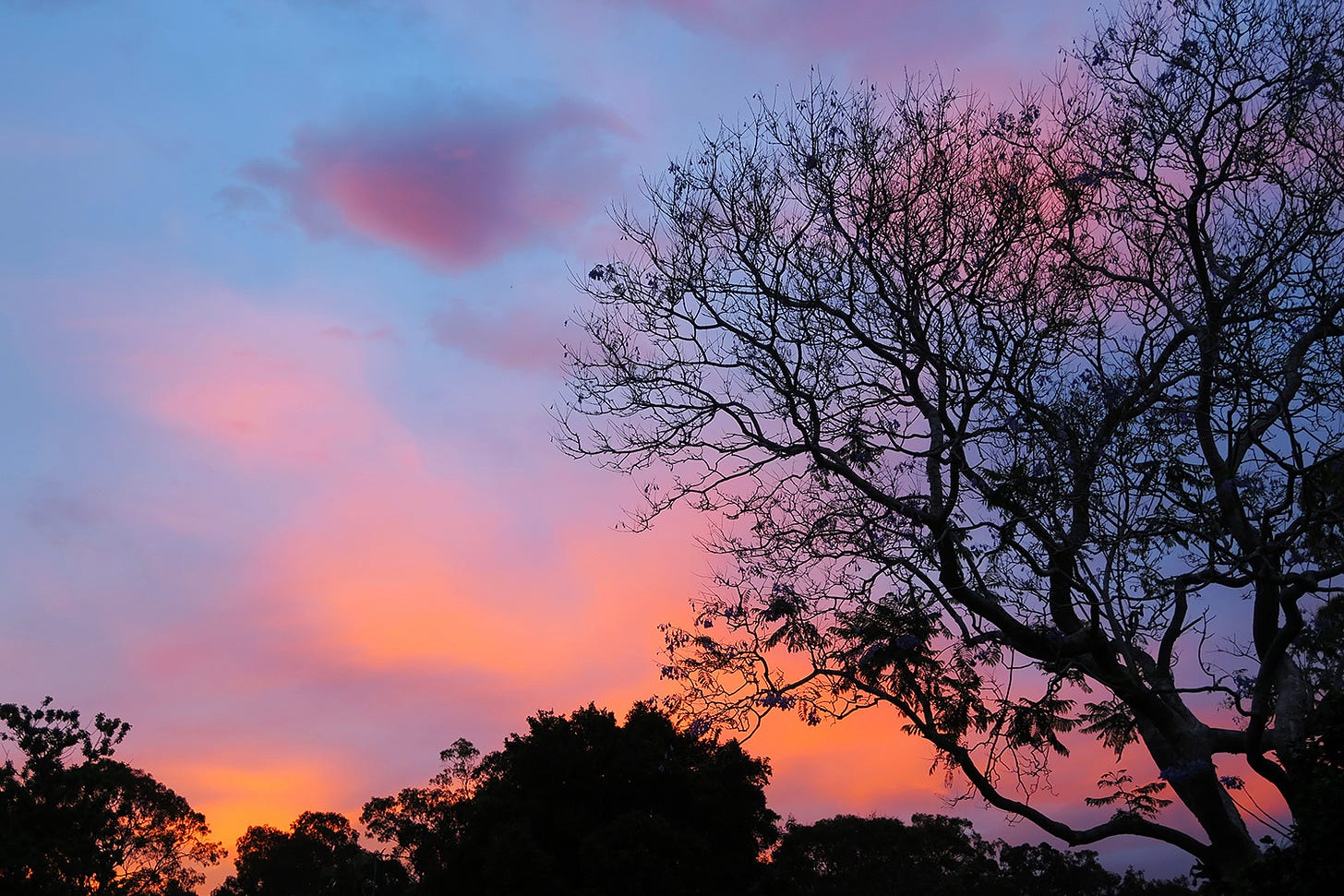 Beautiful sunset with trees in the forground.