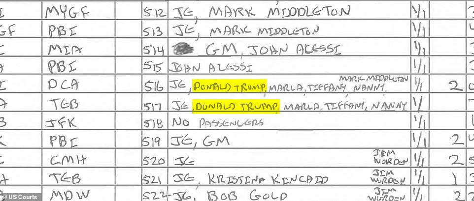 Jeffrey Epstein's infamous jet the 'Lolita Express' will be TORN APART ...