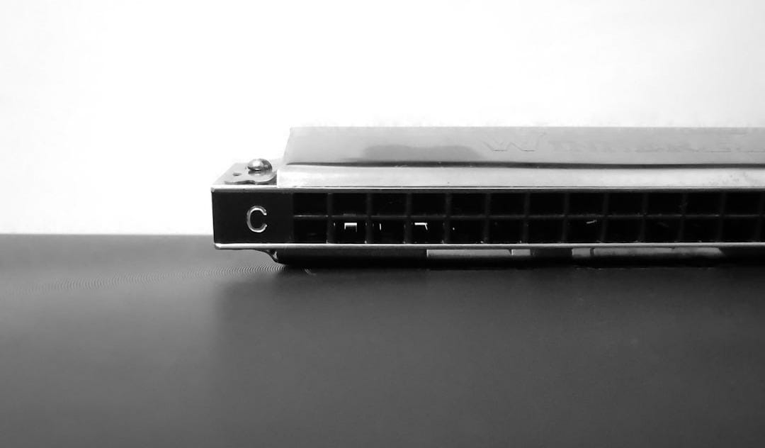 a black and white photo of a guitar