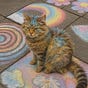 Amber Barefoot's avatar