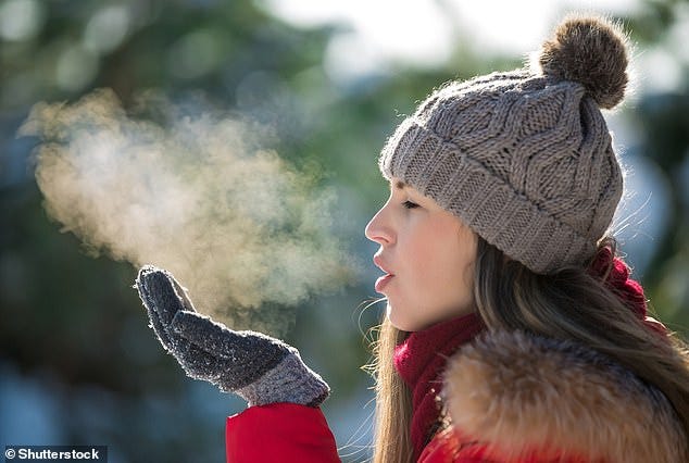 Whether it's eating less meat or cycling instead of driving, humans can do many things to help prevent climate change. Unfortunately, breathing less isn't one of them (stock image) Whether it's eating less meat or cycling instead of driving, humans can do many things to help prevent climate change. Unfortunately, breathing less isn't one of them (stock image)