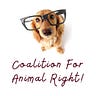 Coalition For Animal Right!