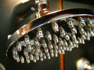 showerhead showerhead