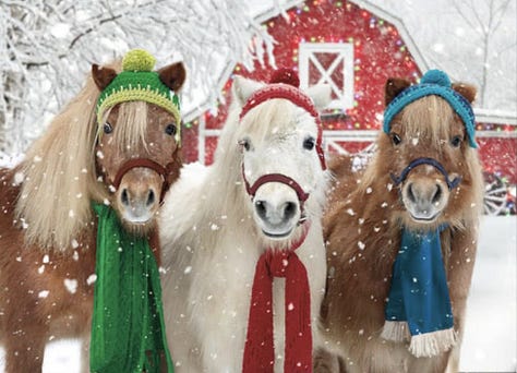 Three Ponies Lessons from the Three Pony Rule - by Allison Tait