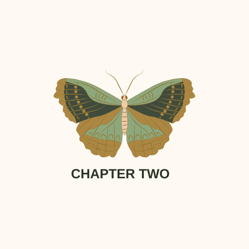 Chapter Two