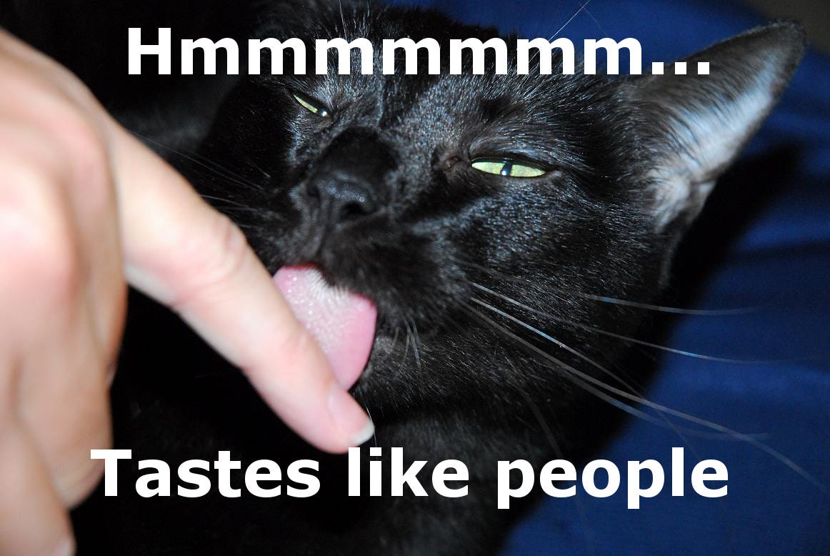 Gizmo Cats' Tongues Rough Gizmo Cats' Tongues Rough