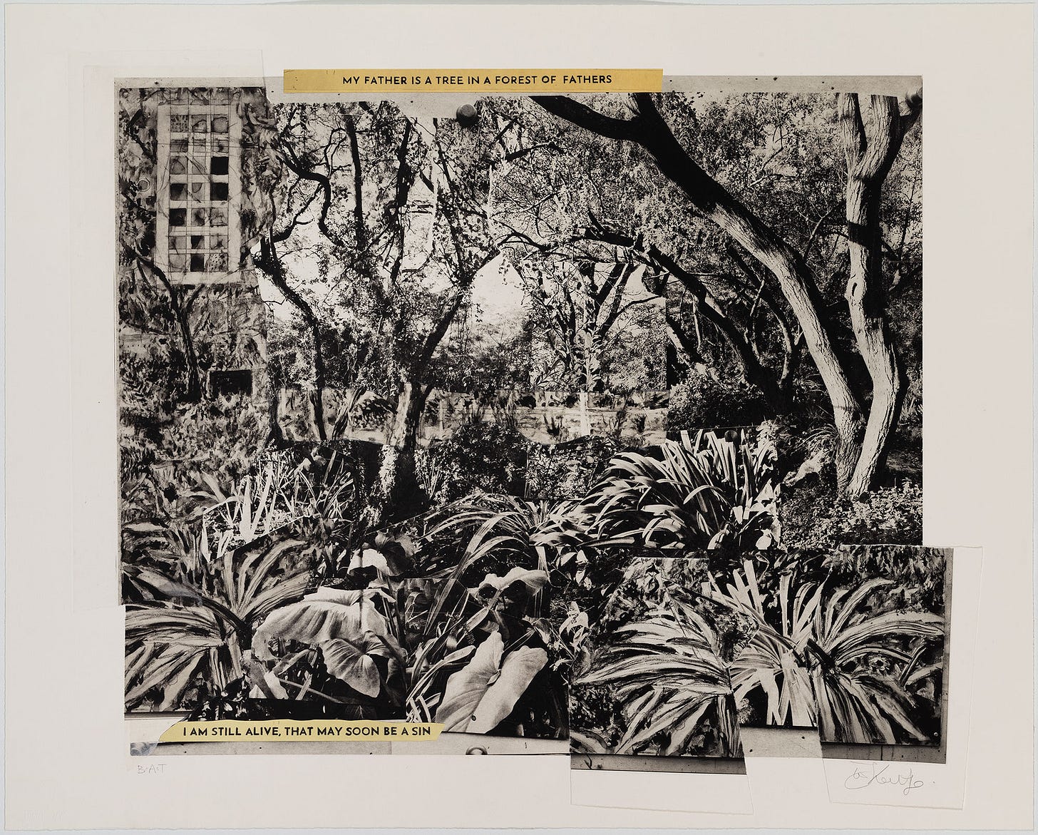 My Father is a Tree in a Forest of Fathers by William Kentridge