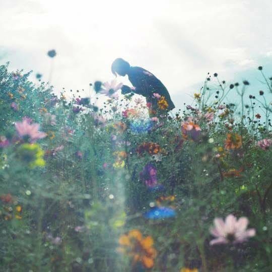 May be an image of flower May be an image of flower