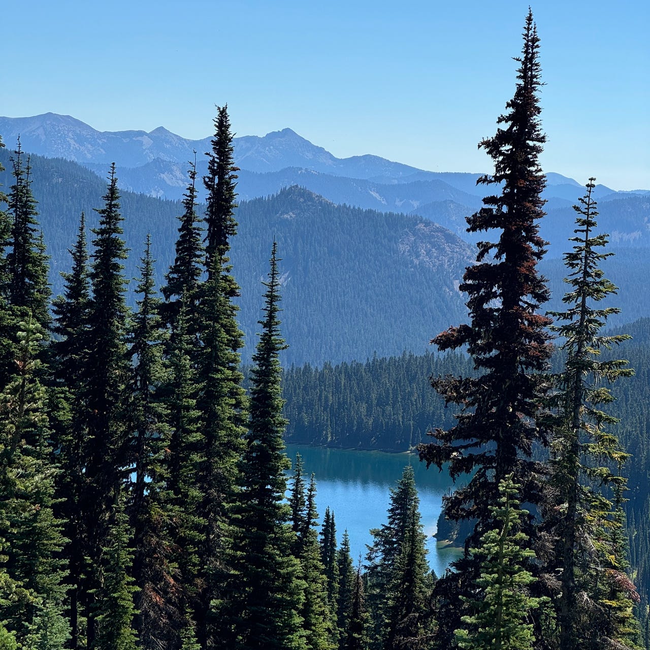 Genevieve is Writing