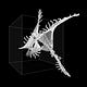Entropic’s Journal