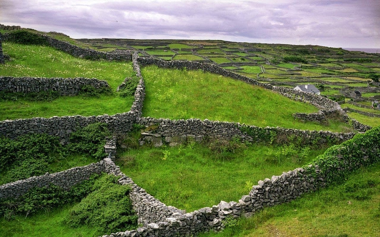 The Stone Walls of Ireland | Amusing Planet