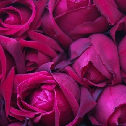 Artwork for Cafés & Chaos