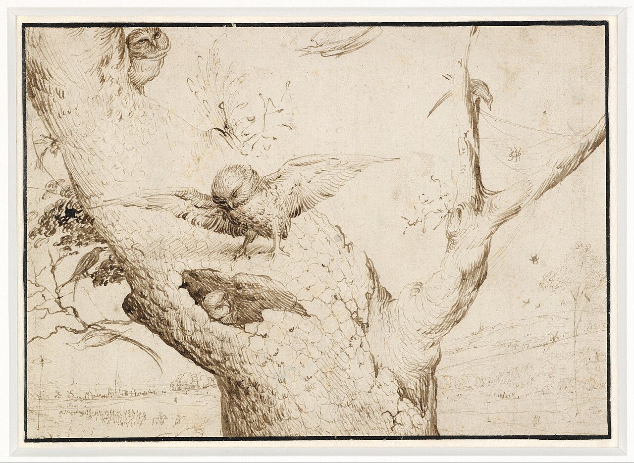 Three owls in a gnarled treetop with a distant gallows Three owls in a gnarled treetop with a distant gallows