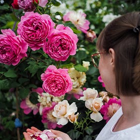 Slow & Simple Notes | My favourite ways to slow down in summer