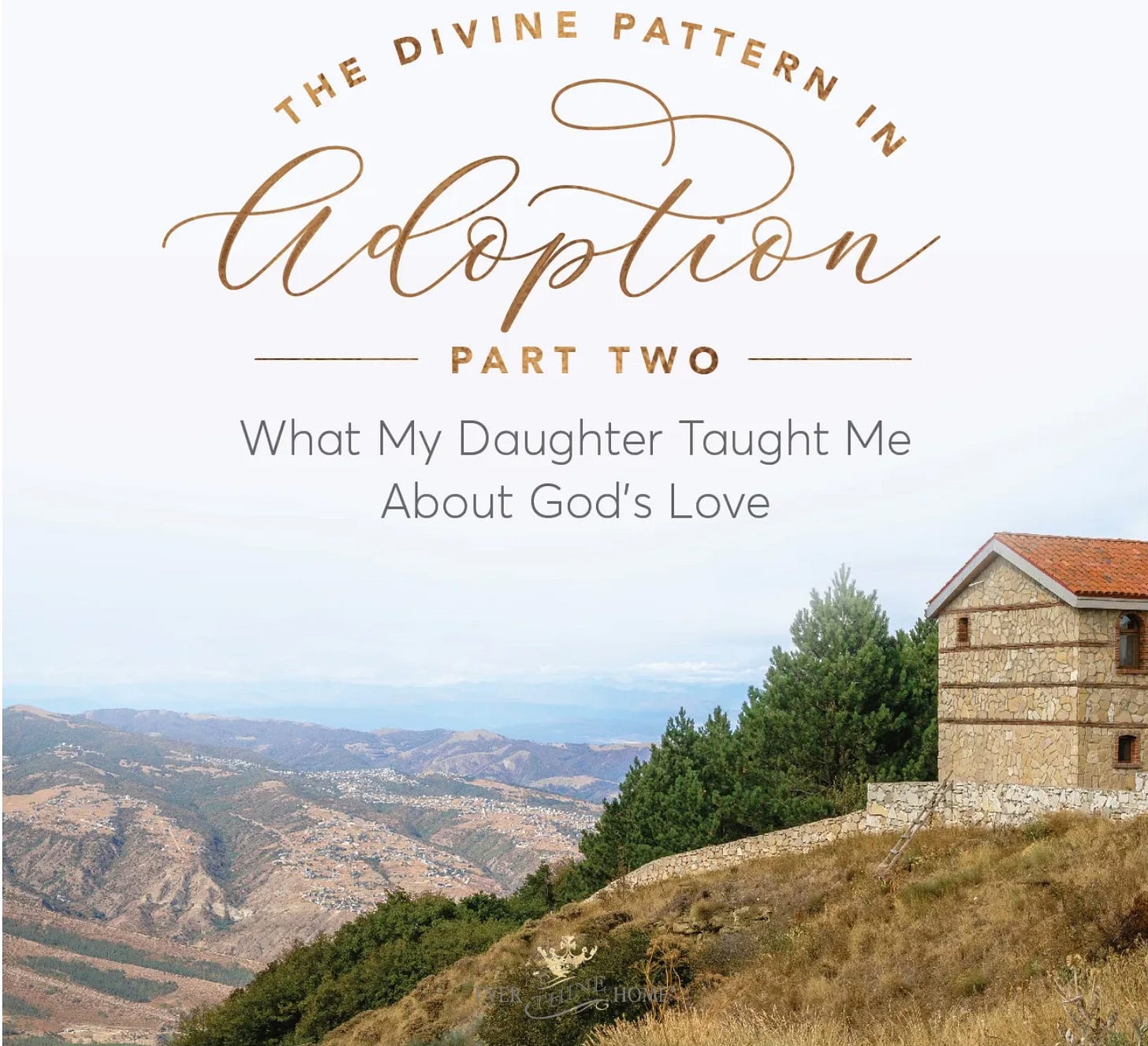 https://barbararainey.substack.com/p/the-divine-pattern-in-adoption-part