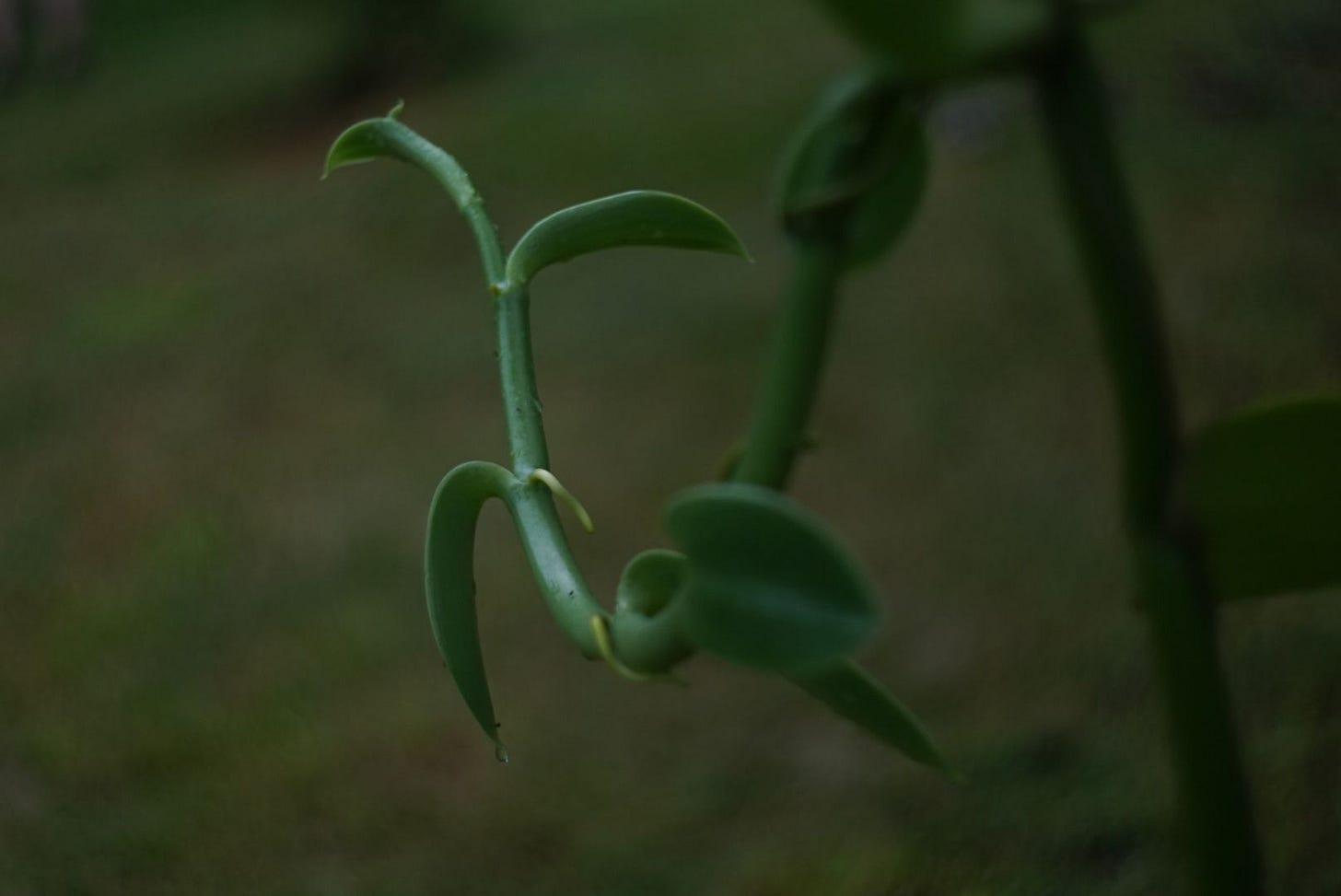 Sortir de la jungle Sortir de la jungle