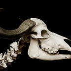  Henry the Dog ~ Special Editions