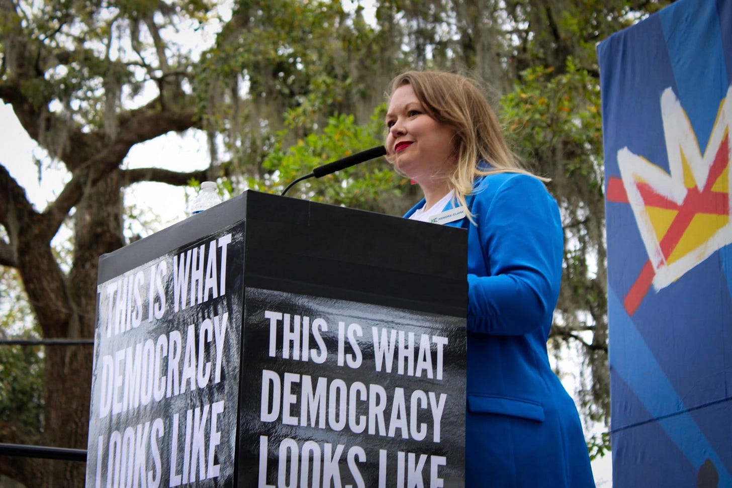 May be an image of text that says 'WITSWHAT WEMOCRACY DEMOCRACY THIS IS WHAT NOKS LIKE'