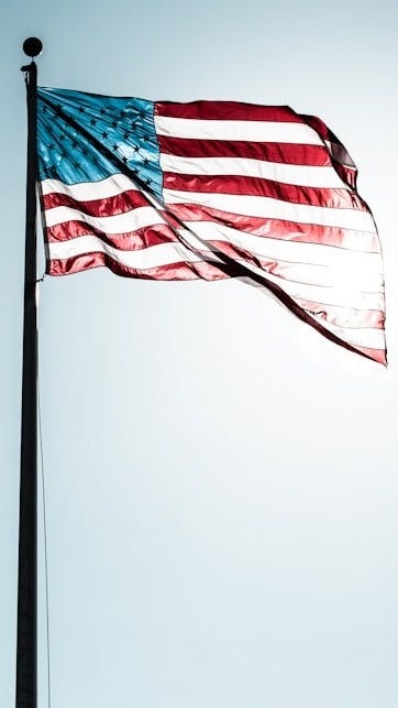 flag of U.S.A.
