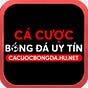 Cá cược bóng đá's avatar