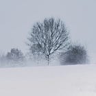 Beautifully Dead - Interlude -