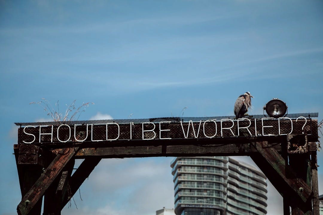 brown bird on black metal bridge during daytime