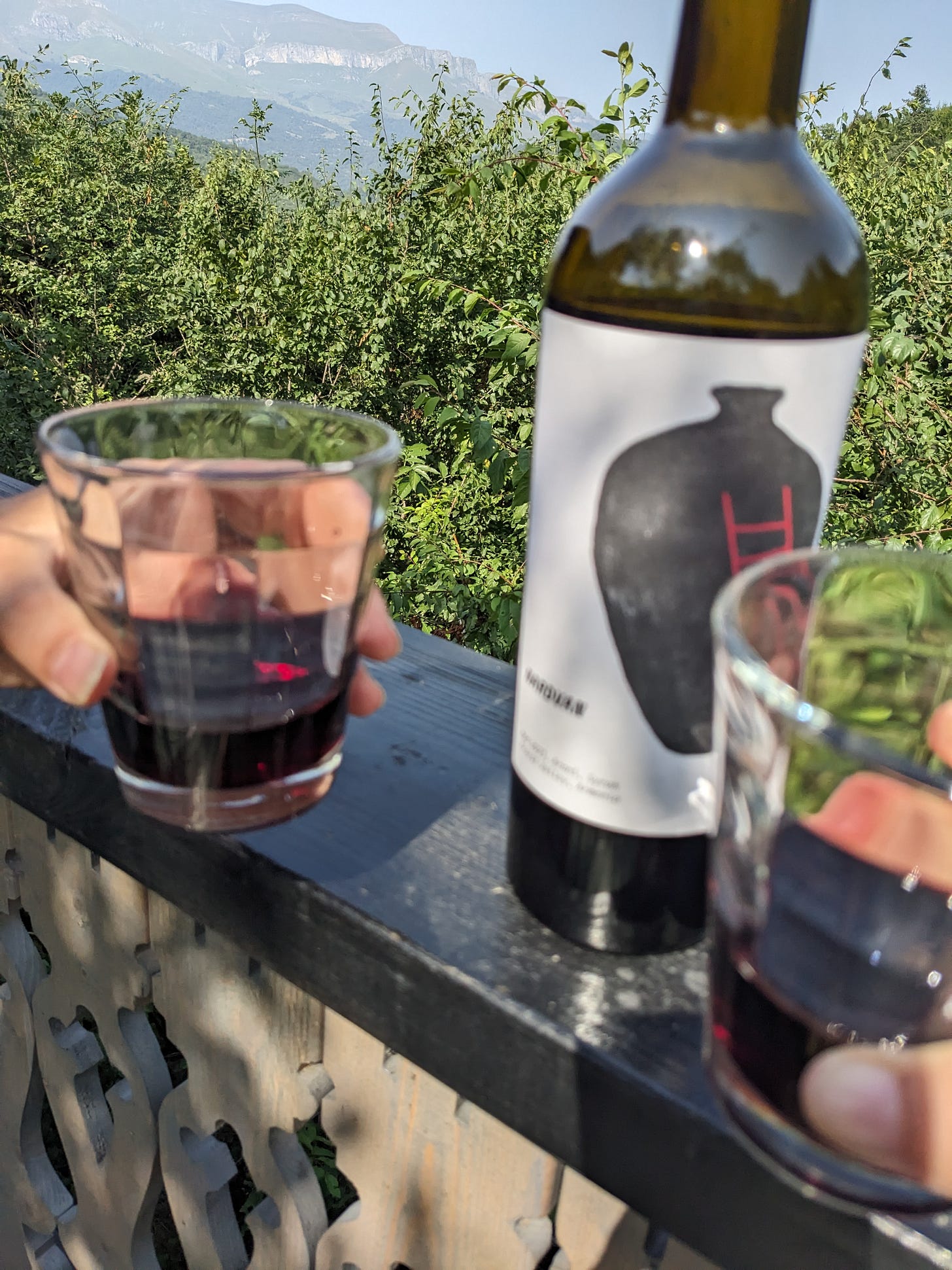 Two hands holding glasses partially filled with red wine in a classic “cheers” pose. A bottle of wine sits on a wood banister with a mountain view in the background.