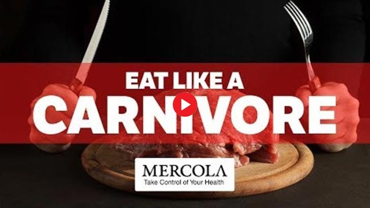 carnivore health effects